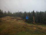 14 : 50