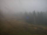 15 : 42