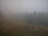 15 : 46