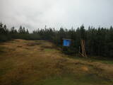 16 : 34