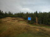 16 : 50