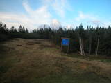 19 : 42