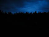 21 : 14