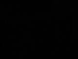 23 : 54
