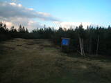 19 : 46
