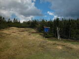 11 : 22
