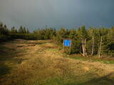 19 : 42