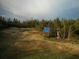 19 : 54