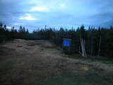 20 : 50