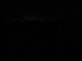 02 : 06