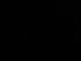 03 : 06