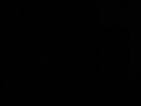 03 : 10