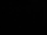 03 : 30