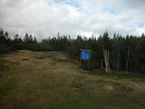 15 : 46