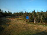 19 : 42