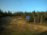 19 : 46