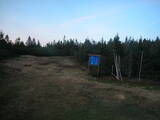 20 : 50