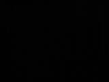 03 : 10