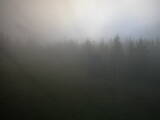 05 : 30