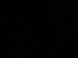 02 : 46