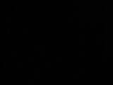 03 : 06