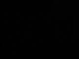 03 : 14