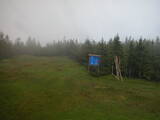 16 : 34