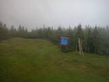16 : 50