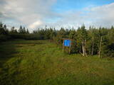 19 : 50