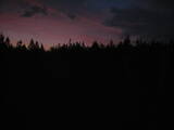03 : 42