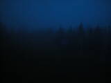 21 : 46