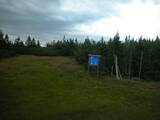 19 : 14
