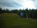 19 : 42
