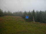 15 : 54
