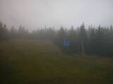 16 : 50