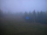 20 : 30