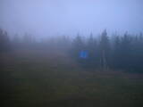 20 : 50