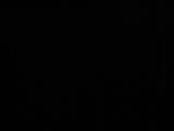 03 : 46