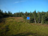 19 : 26