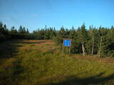 19 : 46