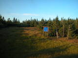 20 : 14