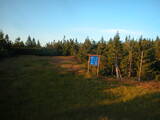 20 : 26