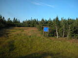 19 : 26