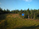 19 : 46
