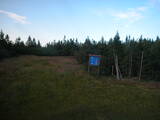 19 : 54