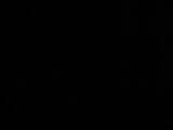 01 : 46