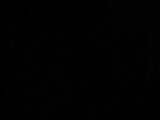 04 : 02