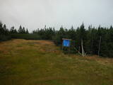 16 : 50