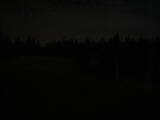 03 : 50