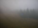 16 : 30